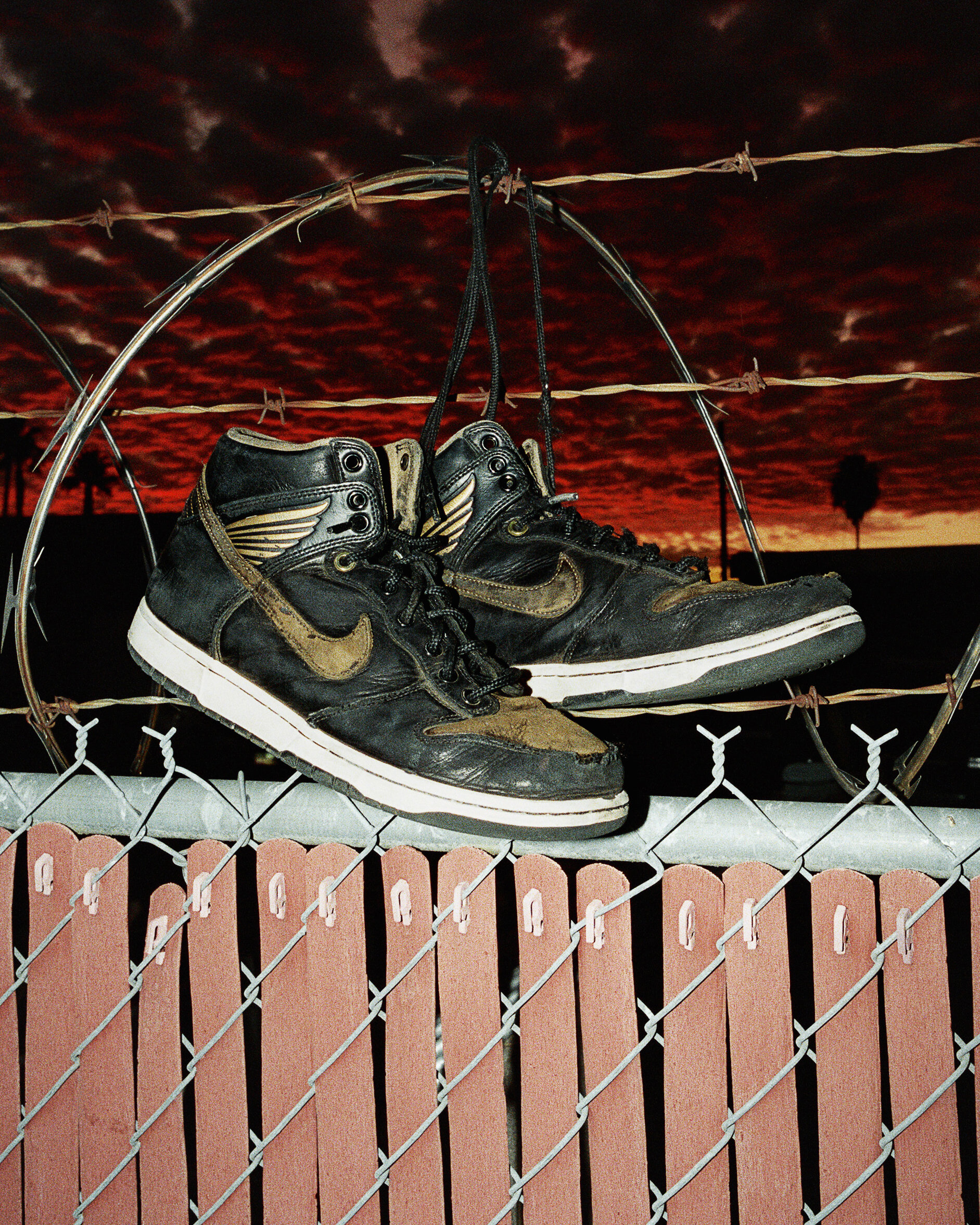 nike sb pawn shop